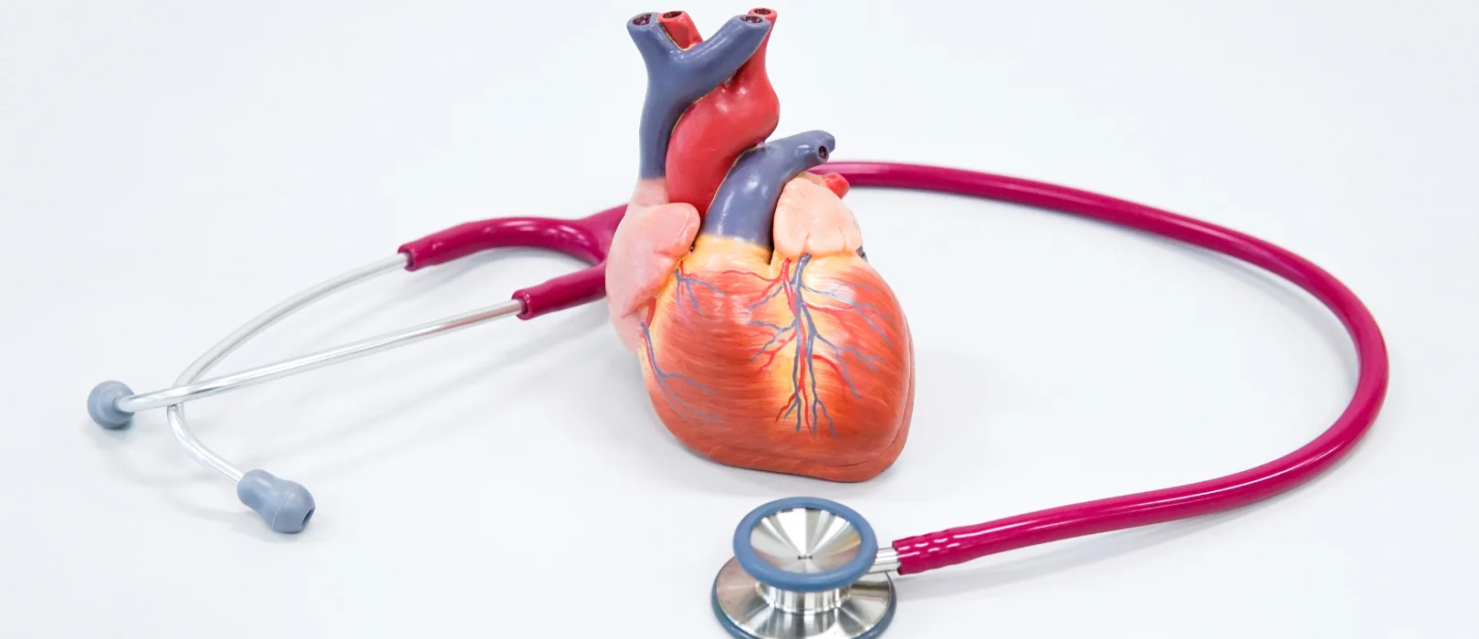 Cardiology